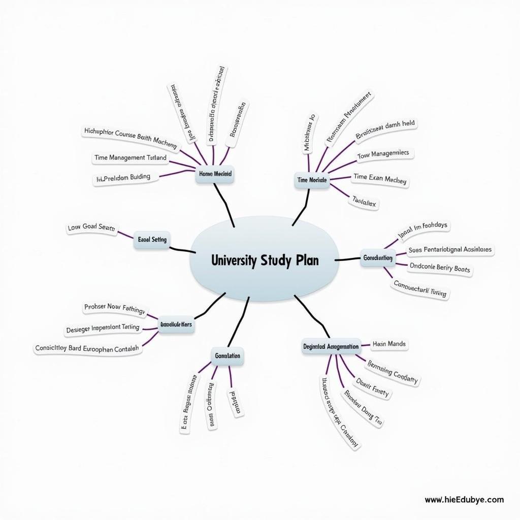 Sơ đồ tư duy kế hoạch học tập đại học chi tiết