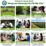 Chương trình đào tạo tại trường Đại học Nông Lâm Hồ Chí Minh